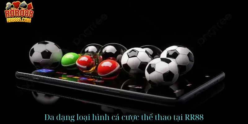 Đa dạng loại hình cá cược thể thao RR88